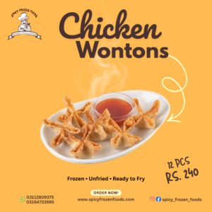 Chicken Wonton – 12 Pieces | Rs 240